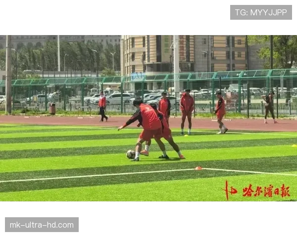 黑龙江冰城主帅回应战术争议强调球队近期将尝试调整打法